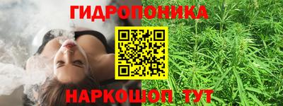 PSILOCYBIN Кунгур