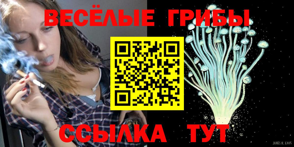 Домодедово  Галлюциногенные грибы Cubensis  Вход с VPN  Галлюциногенные грибы прущие грибы 